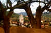 Church Steeple from Almond Grove